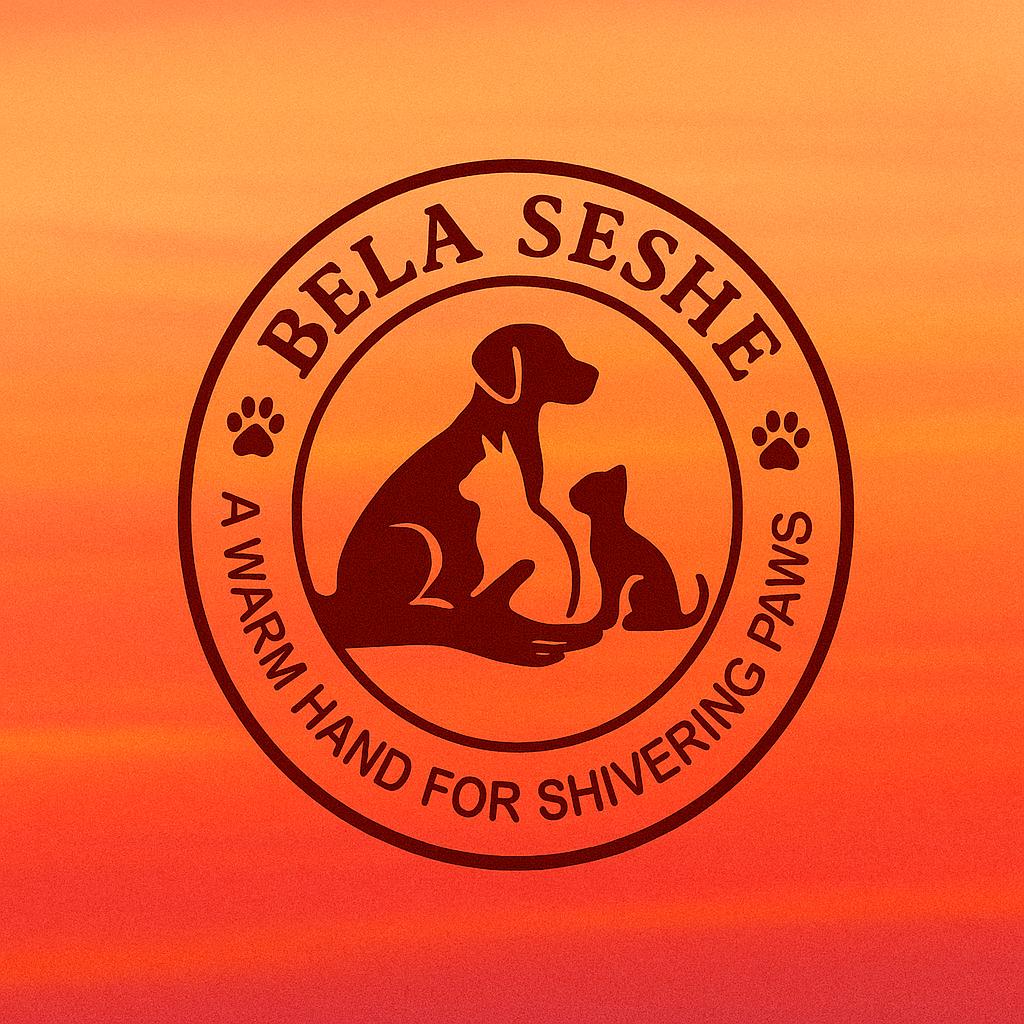 Bela Seshe Logo